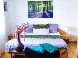 FeWo Sartorius am Hemsberg