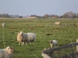 Wohlfühl-Zuhause für Hund und Mensch