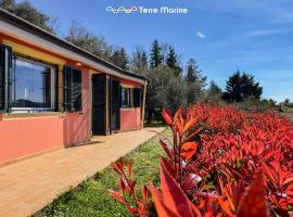 Villetta degli Ulivi, Terre Marine, Hotel in Polverara