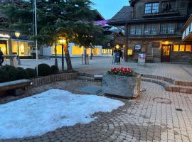 Le Vieux Chalet, готель у місті Ґштад