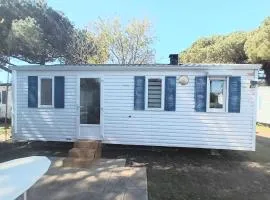 La Baie de la tranquilité