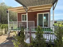 Nordic Mountain View