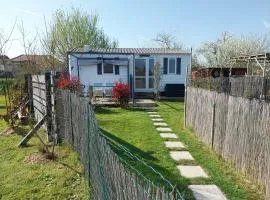 Chez Elvis et Agnès, logement climatisé