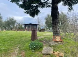 L'isola che non c'é