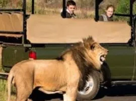 Elephant Memories Glamping Safari Tents and more