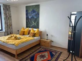 Apartment Pauline NEU renoviert Spielberg