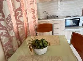 Vasiliki's Apartments