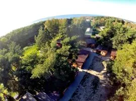 Poilsiavietė Elnias prie Šventosios upės