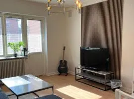 Mysiga Lägenheten Örebro