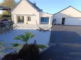 Maison à la campagne avec son chat