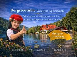 Self-check-in Ferienwohnungen & Apartments am Bergsee
