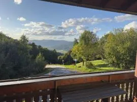 Moderne Apartments im Bayerischen Wald mit Bergblick, Balkon & großer Terrasse