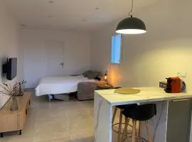 Cosy studio with garden