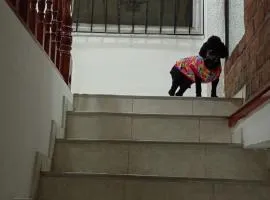 Apartamento Centro Histórico Popayán