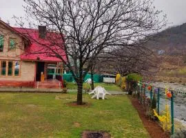 Birdsong pahalgam