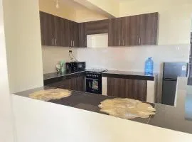 ace homes