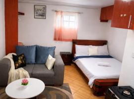 Rechels studio โรงแรมในRungiri
