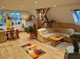 Apartment in Markoušovice for 9 persons near Adšpach
