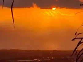 Chalet en bois accés piscine