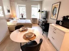 Quiet renovated studio- tram to the center