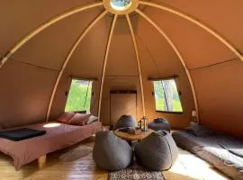 Family Glamping in a Forest
