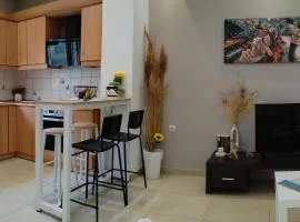 Eunoia, Executive Residence, 34 Theofrastou str, Ground floor, 5min to the beach