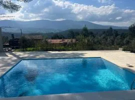 Quinta-lina de serpins