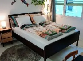 Central 4, pretty two room apartment, free bus, city tax included