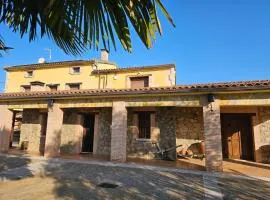 Los Olivos de Miróbriga