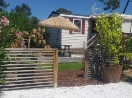 Bungalow MOBIL HOME NEUF DE LUXE 8 personnes 40 m2 avec 3 chambres et 3 Terrasses bois 60 m2