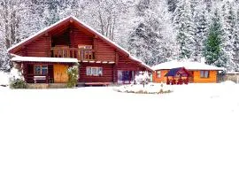 Casă de vacanță Paltinu