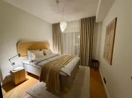 Cozy 2-room apartment in city center