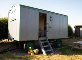 Galahad - Shepherd's Hut