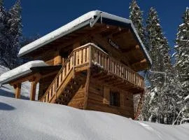 Le Squirrel - Cabin overlooking Mont Blanc
