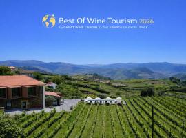 Casa do Santo - Wine & Tourism, hotel a Provesende
