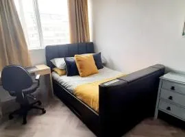 Spacious King Room near Victoria - Zone 1