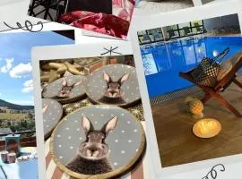 B&B Apart Hotel Goldener Hahn - Hygge Pool & Sauna