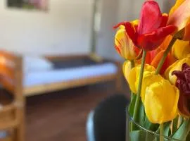 Modernes 5-Zi Haus mit Terrasse & WLAN zw Freiburg u Frankreich