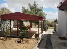 منزل ومزرعه للايجار الشوبكً Farm for rent , Shoubak , Petra