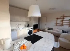 Modern and spacious apartment