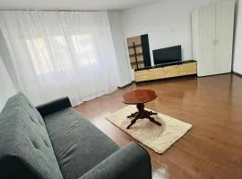 Andreea apartament