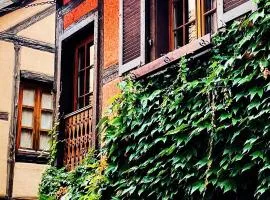La Maison Rouge Au coeur historique de Riquewihr