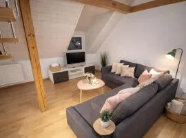 Charming attic duplex in Bern