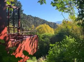 Tree House with Hot Tub
