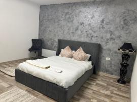 Fabrizio house, Hotel in Timişoara