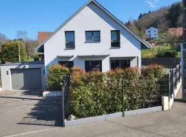 Maison neuve 4 chambres à Soulzbach - FR-1-744-46