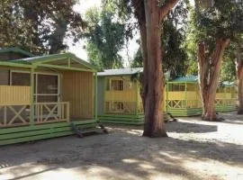 Chalet de charme - 5 pers. - API-1-52-2139