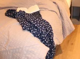 Elbquartier AltesLand