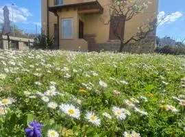 Casa Vacanza Alle Pratoline covered parking for bicycles and motorcycles