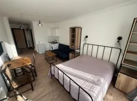 Studio apartment in Mgzavrebi